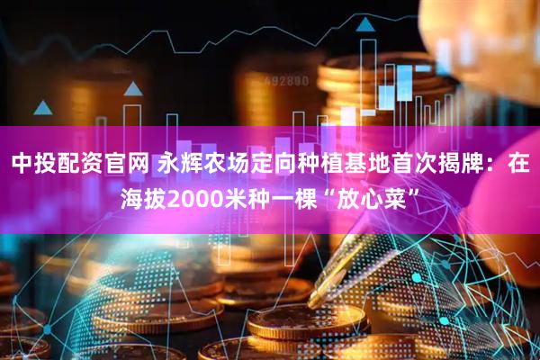 中投配资官网 永辉农场定向种植基地首次揭牌：在海拔2000米种一棵“放心菜”