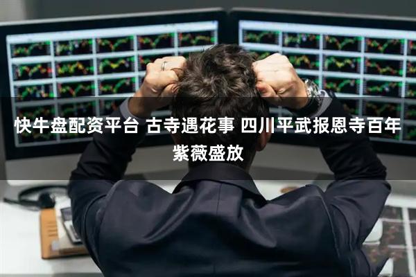 快牛盘配资平台 古寺遇花事 四川平武报恩寺百年紫薇盛放
